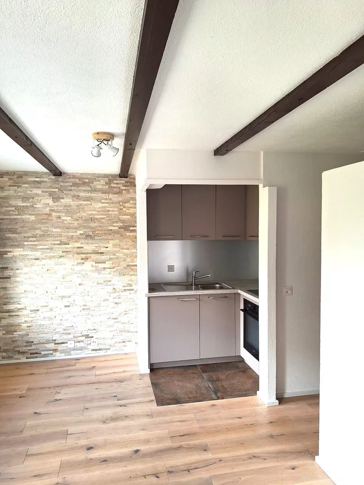 Superbe studio rénové en vente à Torgon