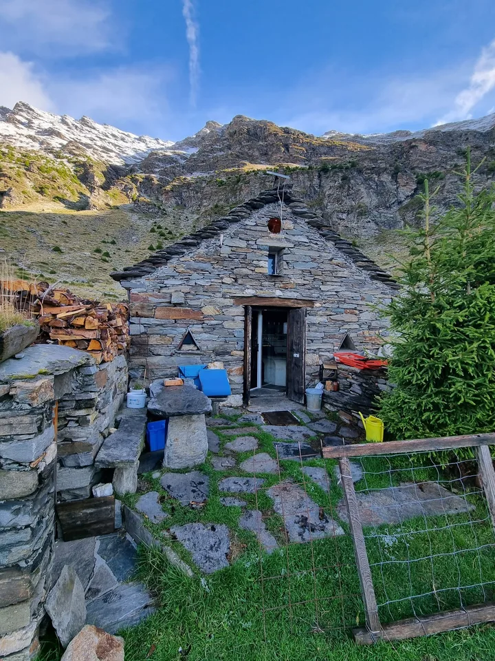 Rustico