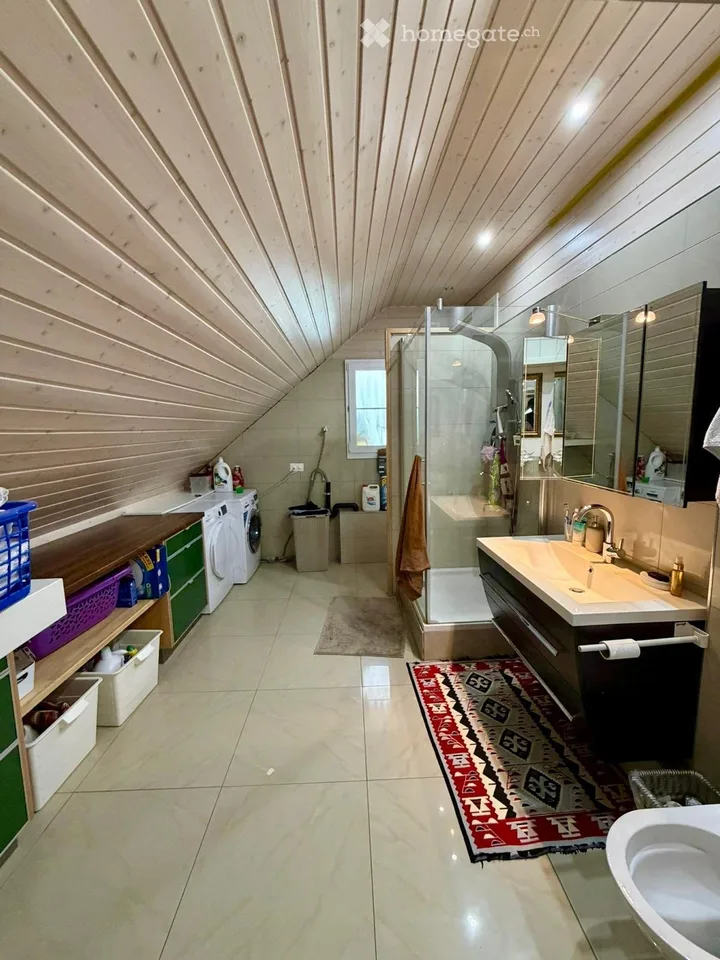 Rental Property in Dintikon