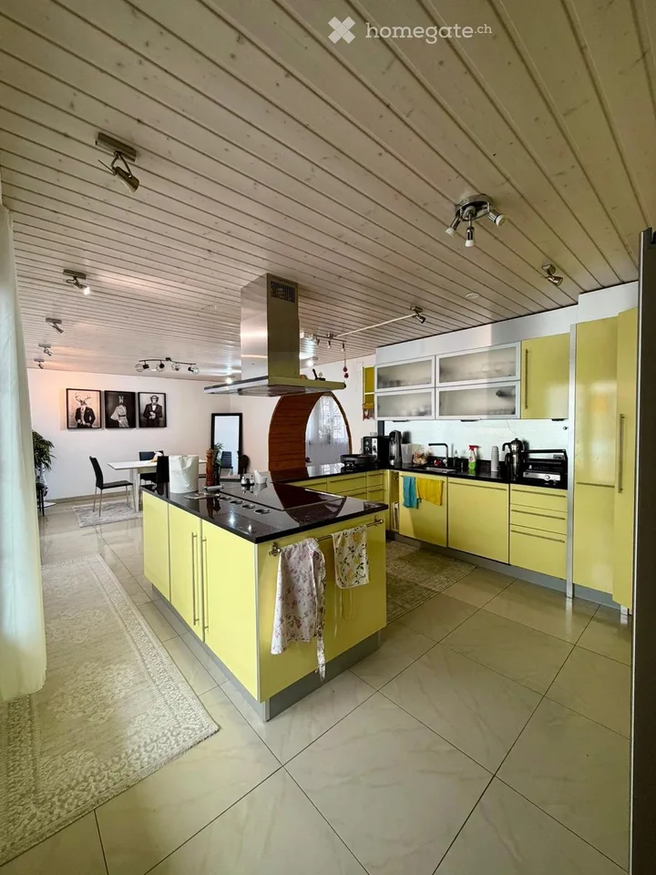 Rental Property in Dintikon
