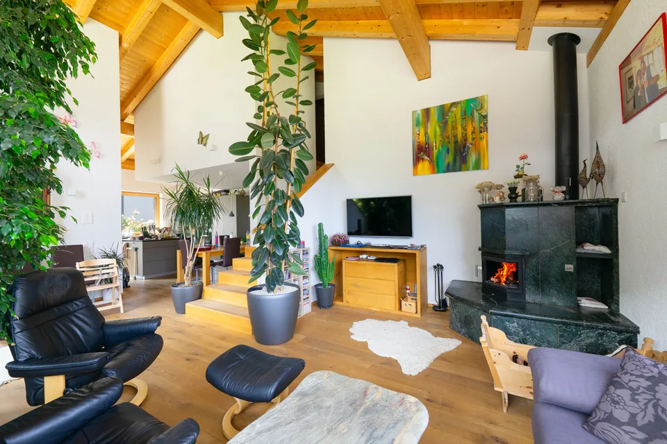 Modernes rustikales Einfamilienhaus