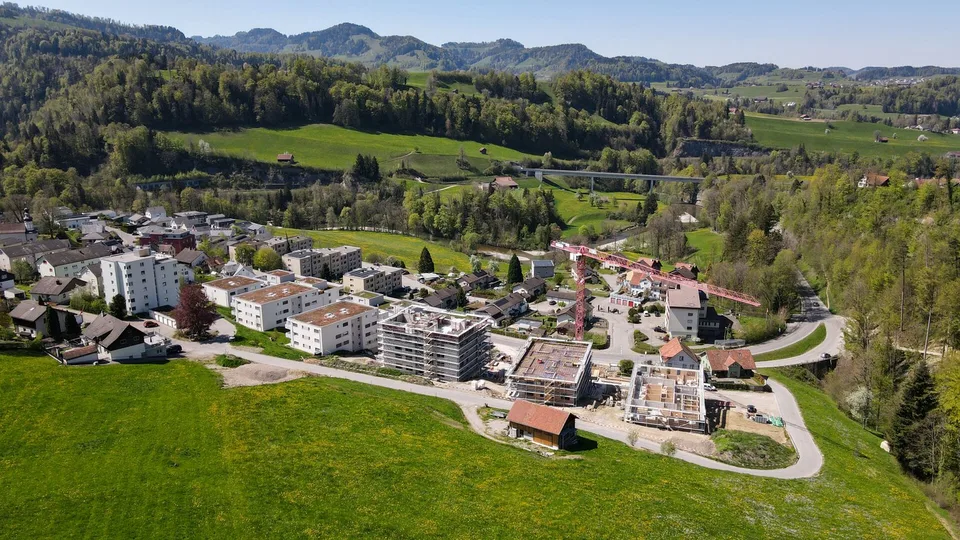 Maison individuelle dans un environnement verdoyant
