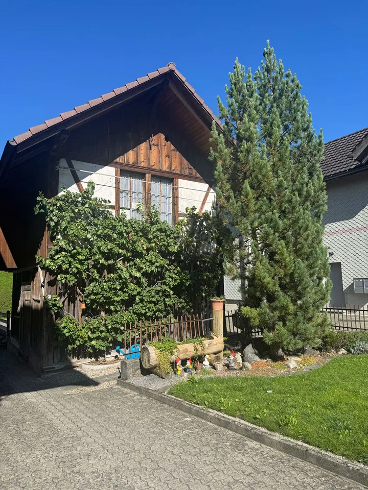 Spacious - versatile opportunities - 3 family house in Bärau – photo 20 of 21