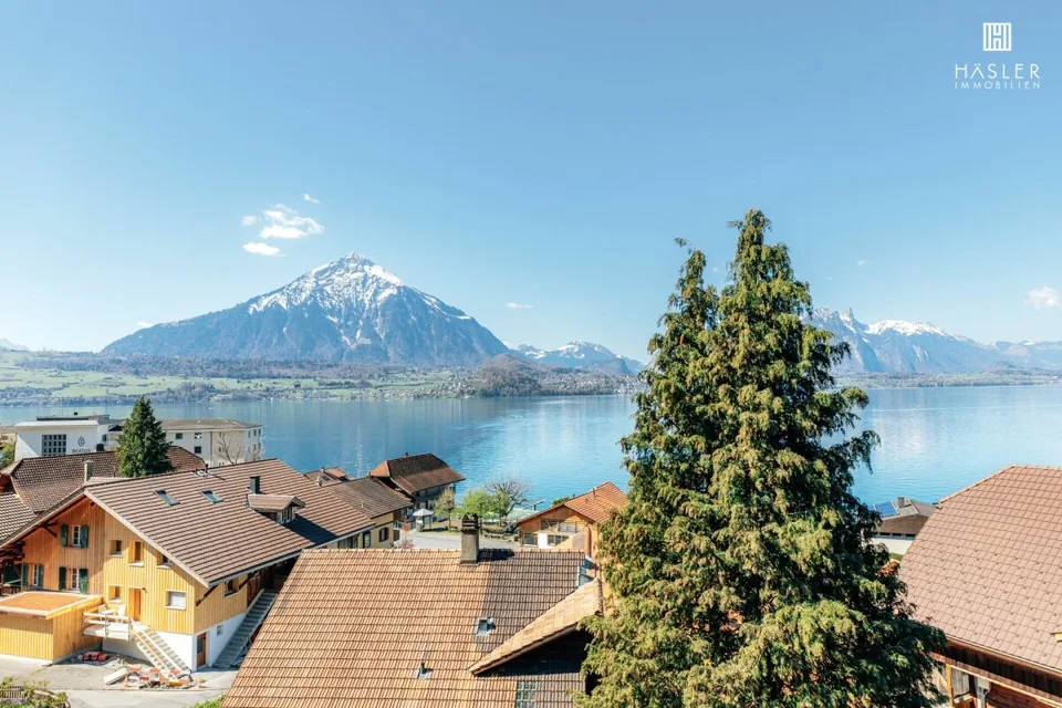 Grosszügige 4½-Zi-Dachwohnung mit See- und Bergsicht