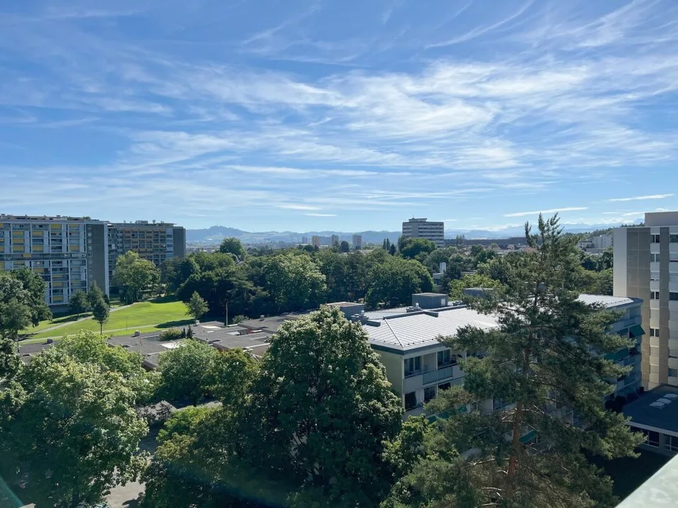 Sonnige 3.5-Zimmer-Eigentumswohnung mit Balkon, Keller und Einstellhallenplatz – Foto 21 von 24