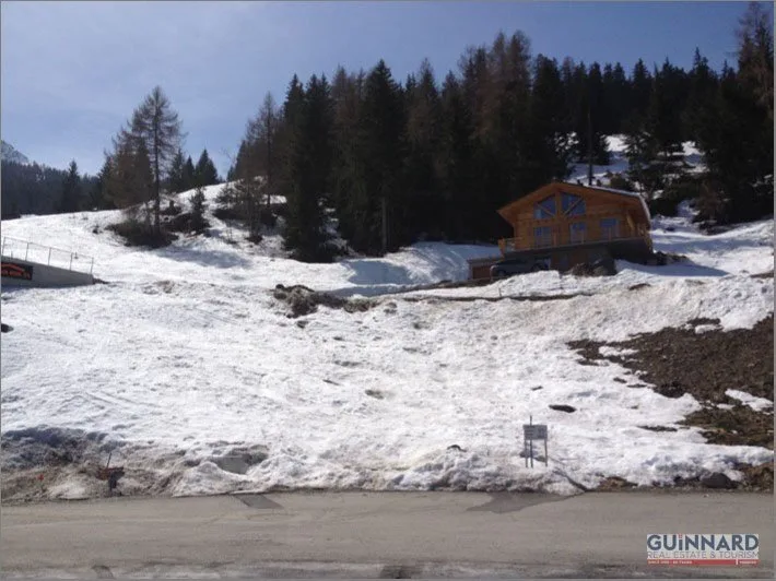4604 TAILLY - La Tzoumaz