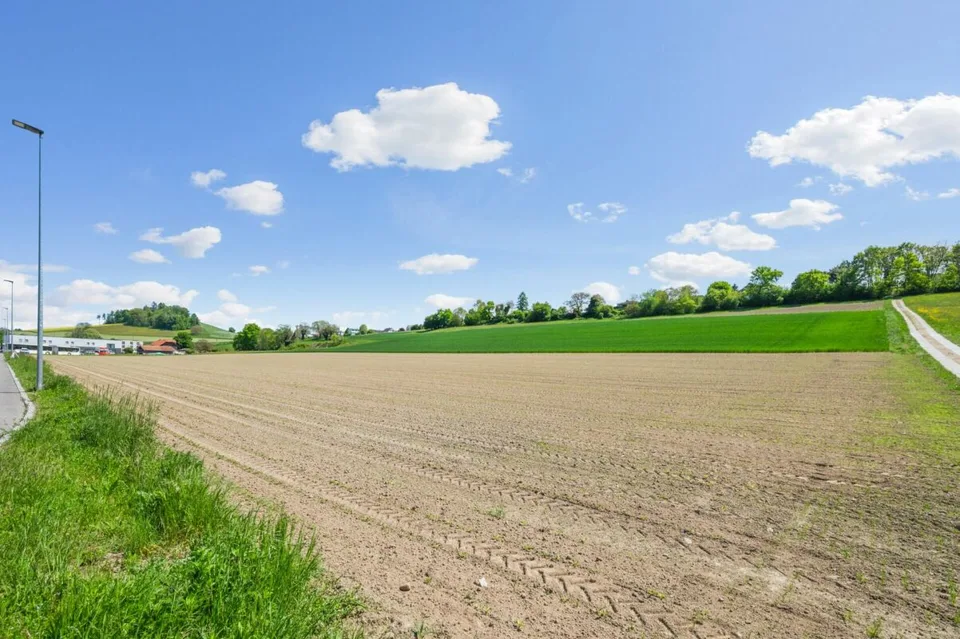 Terrain industriel spacieux dans la région économique très demandée de Morat – photo 6 sur 6