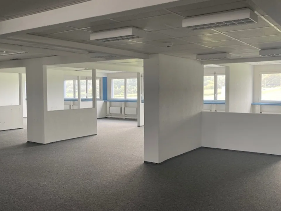 Spazio ufficio attraente con una vista magnifica sulle Alpi 665 m2