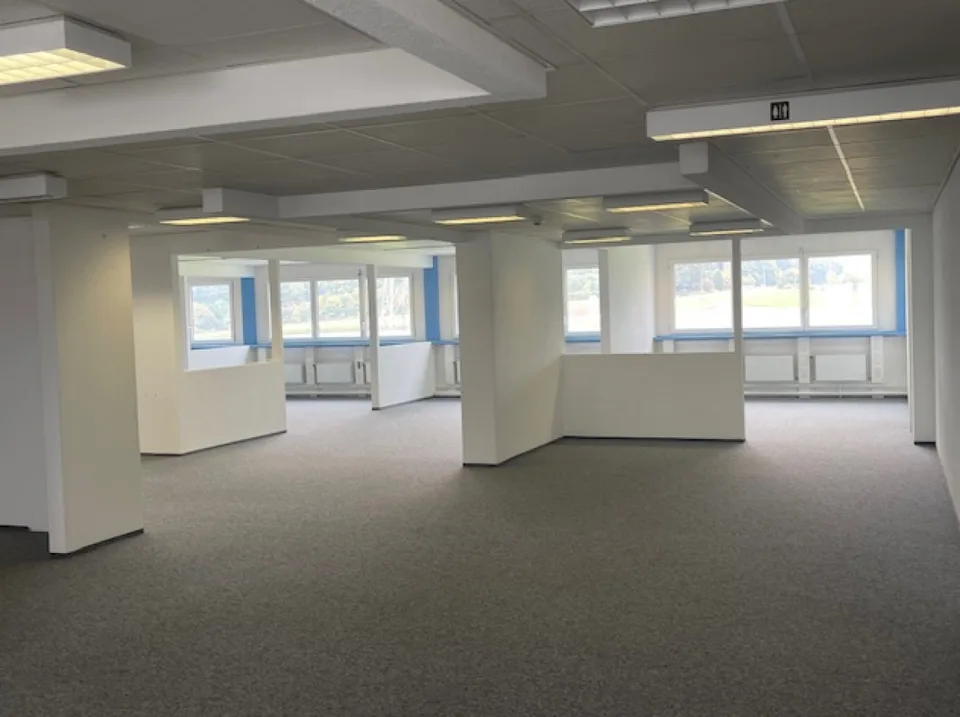 Spazio ufficio attraente con una vista magnifica sulle Alpi 665 m2