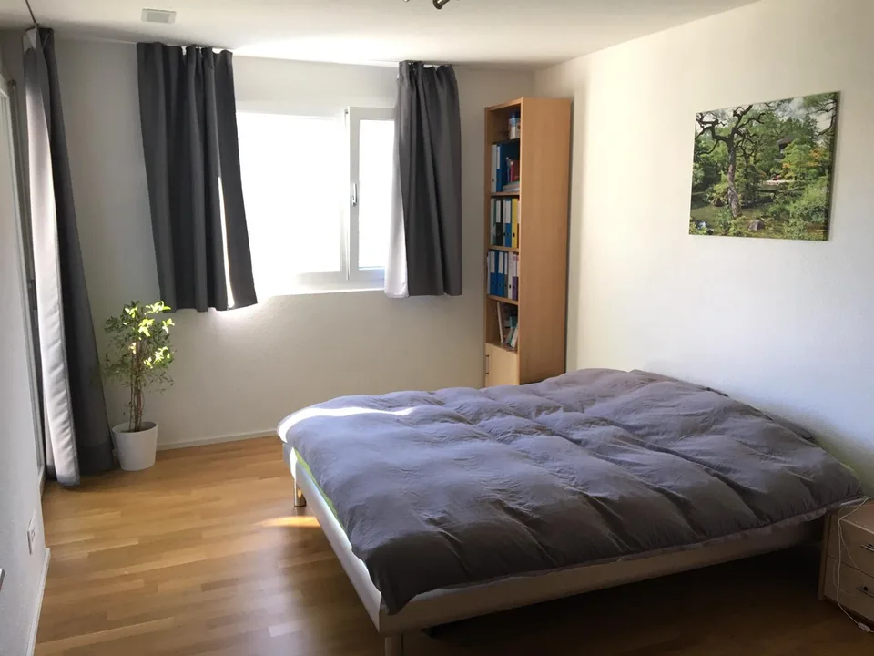 Charming 3.5-room apartment in a quiet and natural location