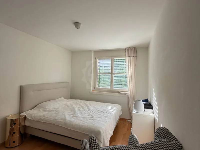 Pleasant Apartment - Nyon