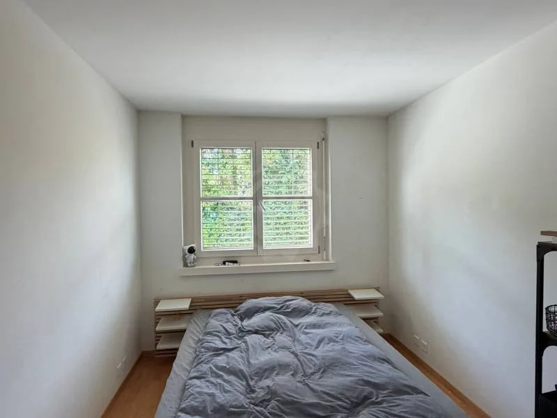 Pleasant Apartment - Nyon