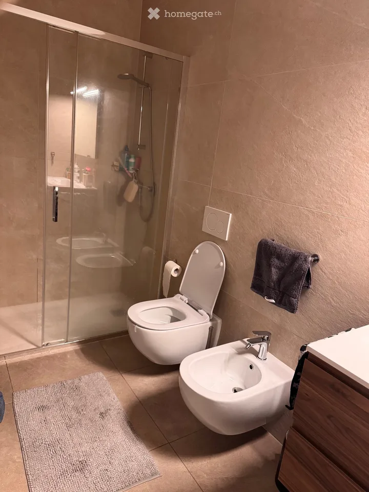 Rent 2.5 with garden Pollegio