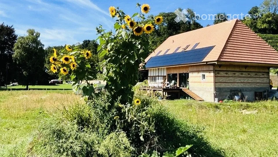 WG-Zimmer in einem tierfreundlichen Haus mit grossem Garten