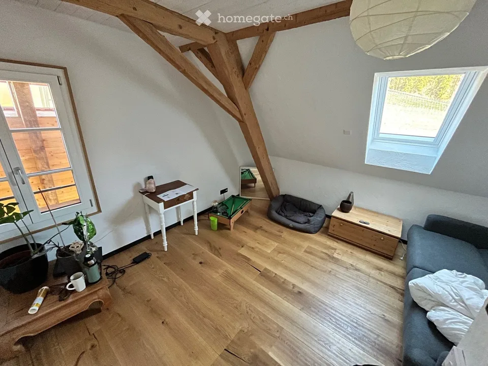 WG-Zimmer in einem tierfreundlichen Haus mit grossem Garten
