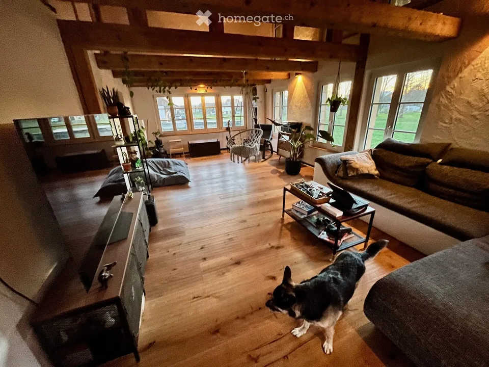 WG-Zimmer in einem tierfreundlichen Haus mit grossem Garten
