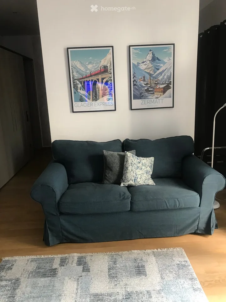 Spacious furnished studio apartment 50mq