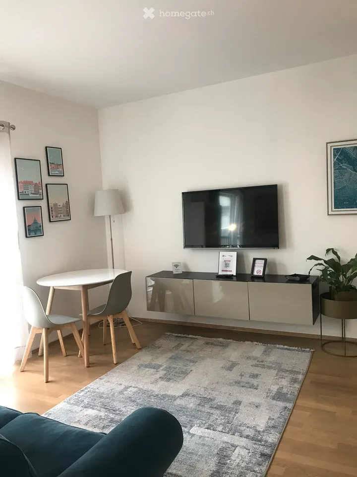 Spacious furnished studio apartment 50mq