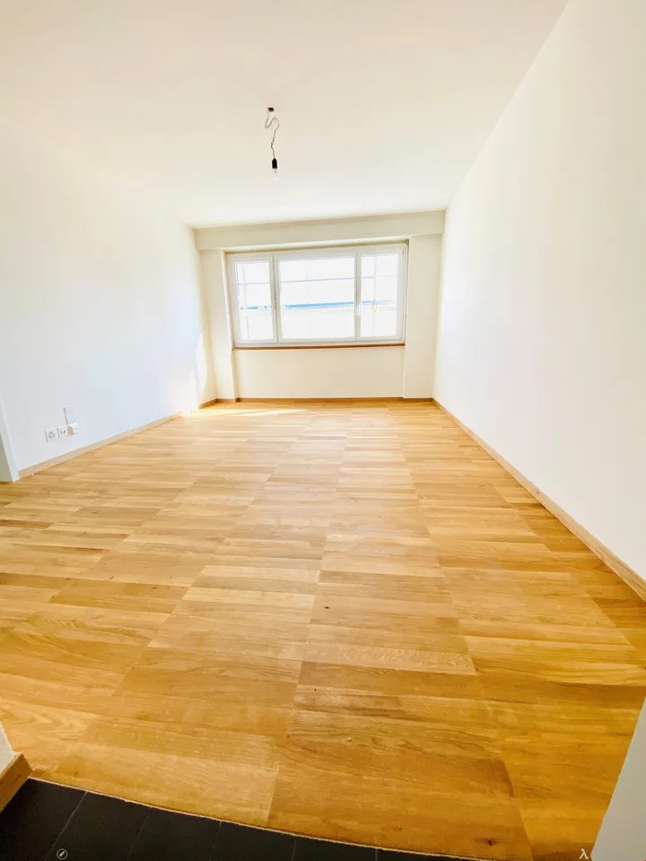 Appartement de 2.5 pièces complètement rénové avec vue à couper le souffle