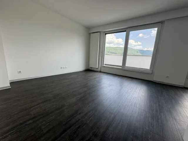 Superbe 2 pièces avec grande terrasse