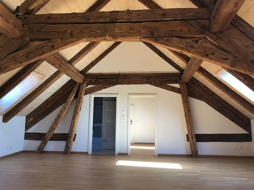 Grosse Duplexwohnung in Freiburg
