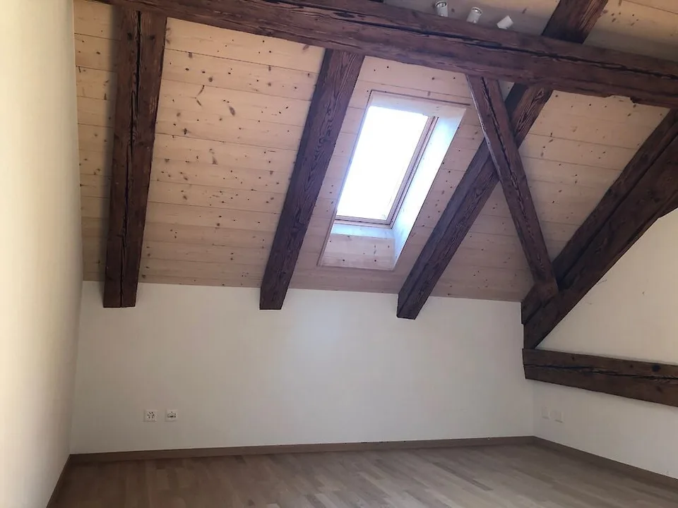 Grosse Duplexwohnung in Freiburg – Foto 10 von 12