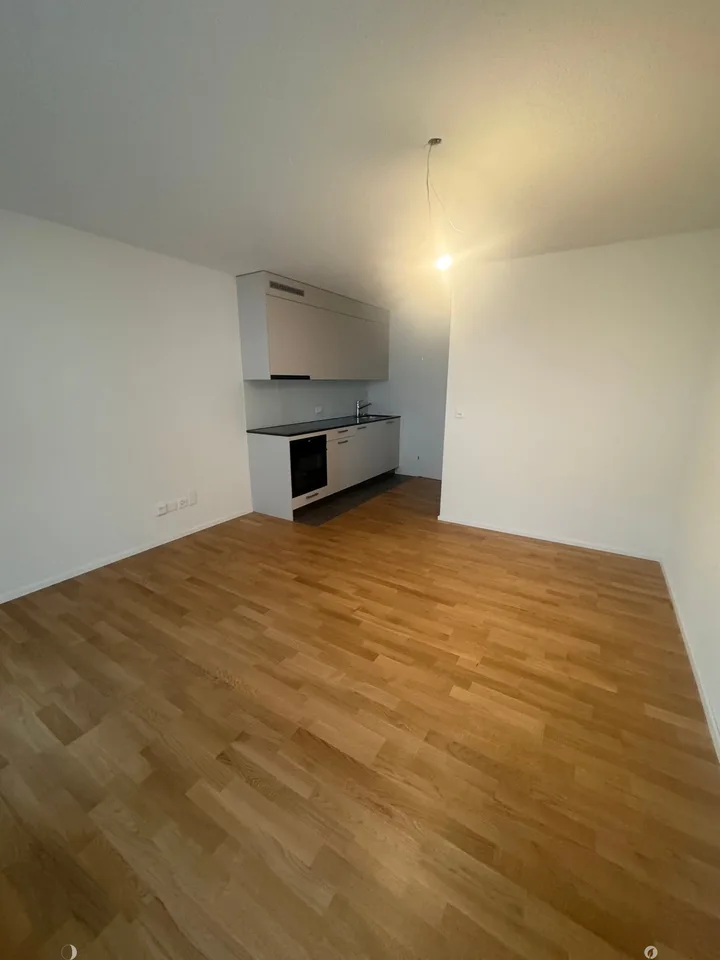 Komplett renovierte 1-Zimmerwohnung im Mettquartier