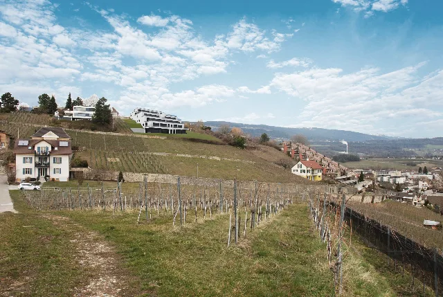 Les terrasses de Sachet, villas de 5.5 pièces à Cortaillod