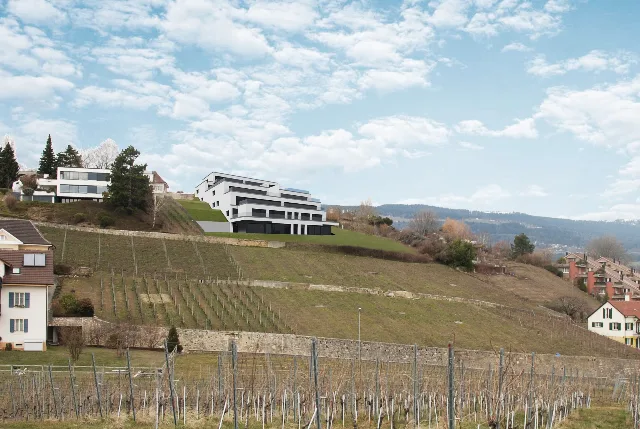 Les terrasses de Sachet, villas de 5.5 pièces à Cortaillod
