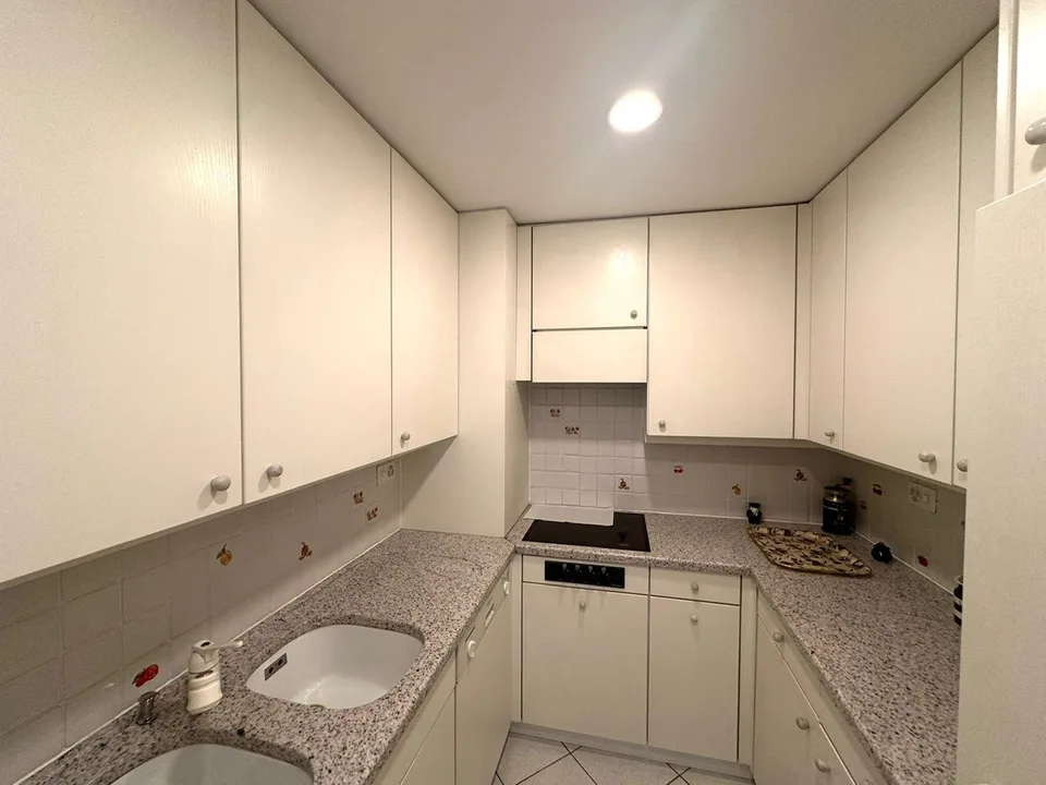 Elegante appartamento con terrazza vista lago