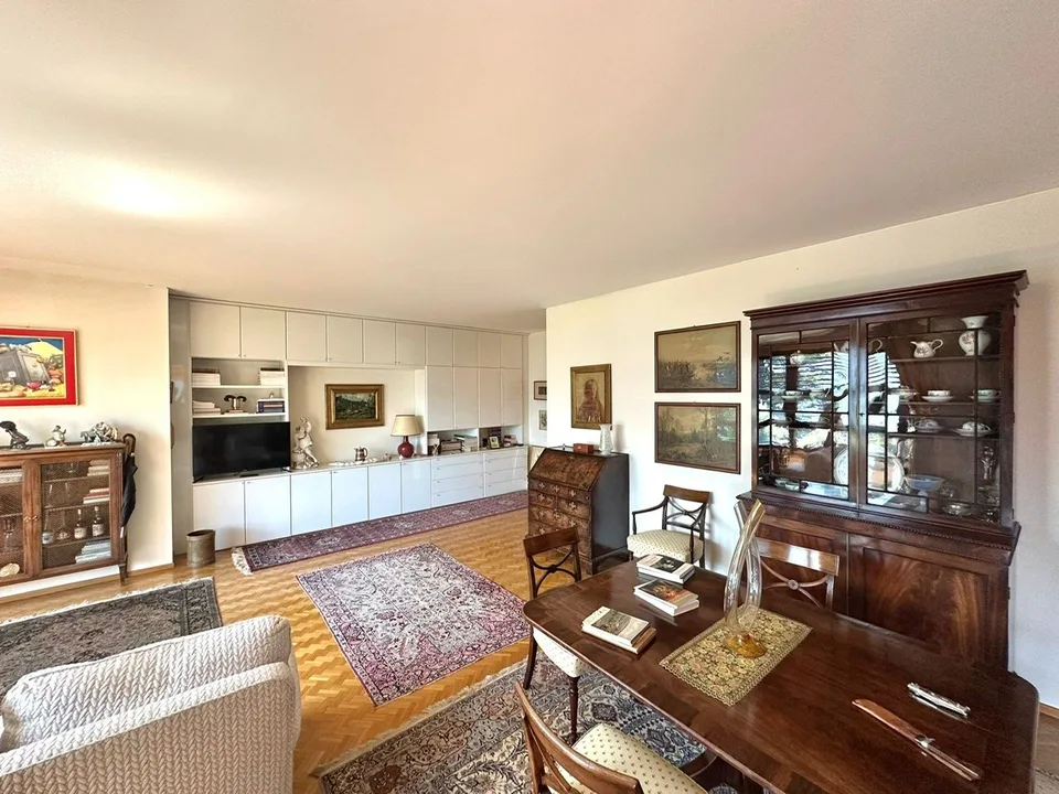 Elegante appartamento con terrazza vista lago