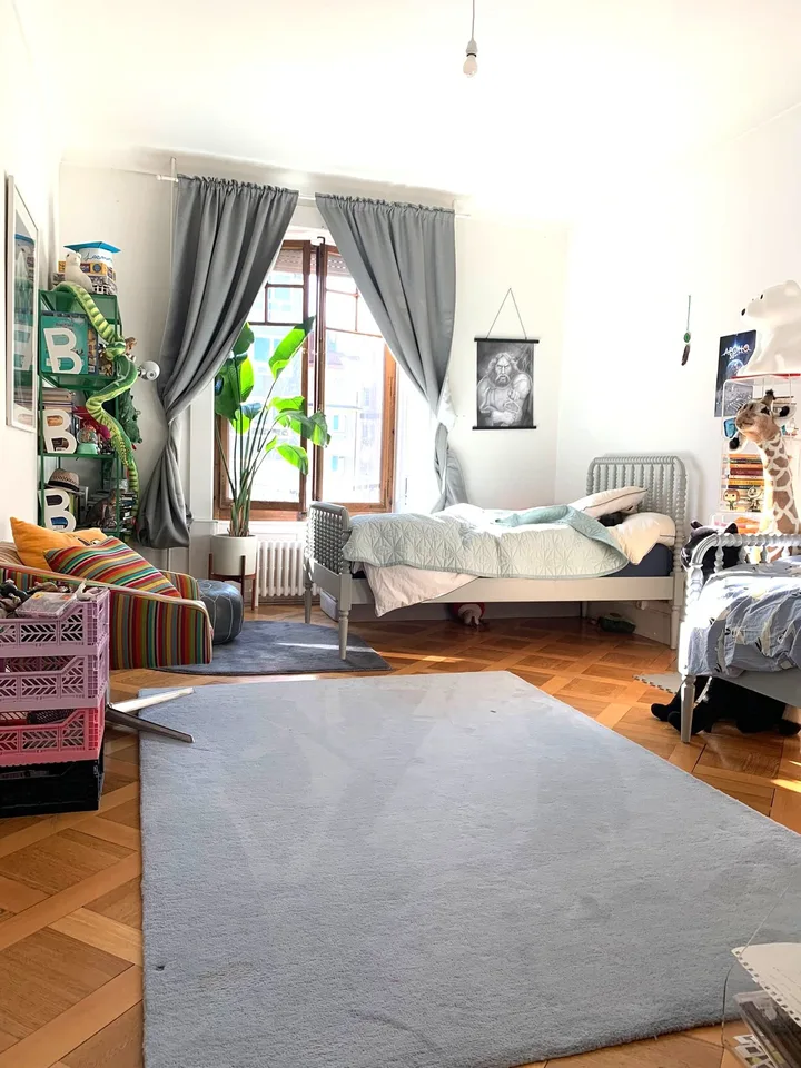 Ampio appartamento di 5.5 locali con balcone a Champel