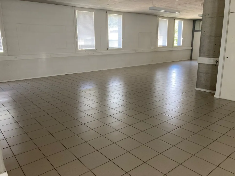 Mezzovico - Modern and functional office – photo 8 of 9