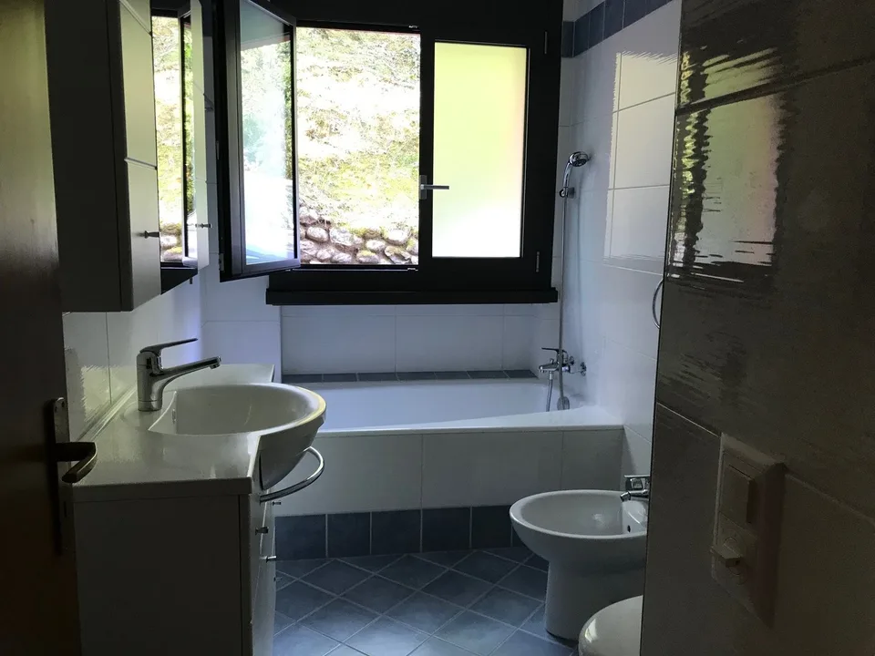 Lugano, geräumige Wohnung in kleiner Wohnanlage, ruhige Lage – Foto 11 von 20