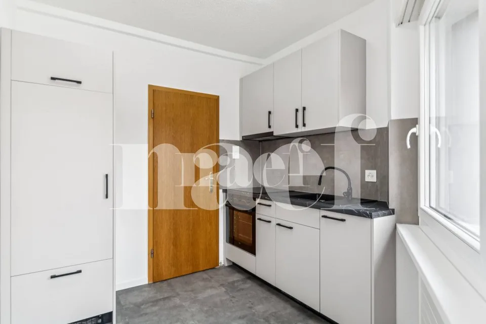 Bello appartamento di 2 locali completamente ristrutturato con balcone al pianterreno