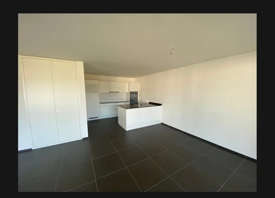 Appartement 2 pièces moderne avec balcon et vue imprenable à Eschlikon