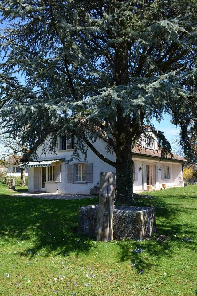 Geräumige 6.5-Zimmer-Villa in der Nähe aller Annehmlichkeiten