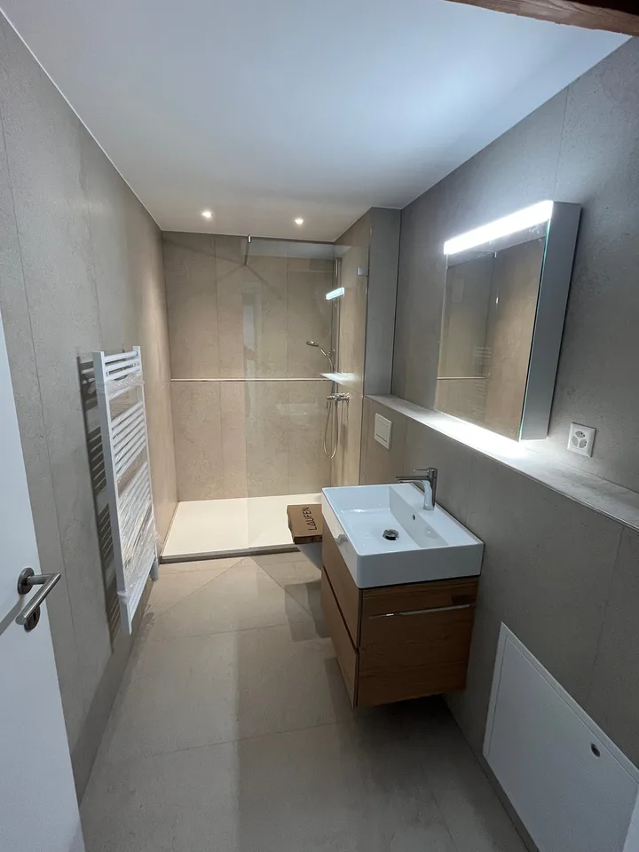 Nouvel appartement de 4 pièces en mansarde dans la ville d'Olten