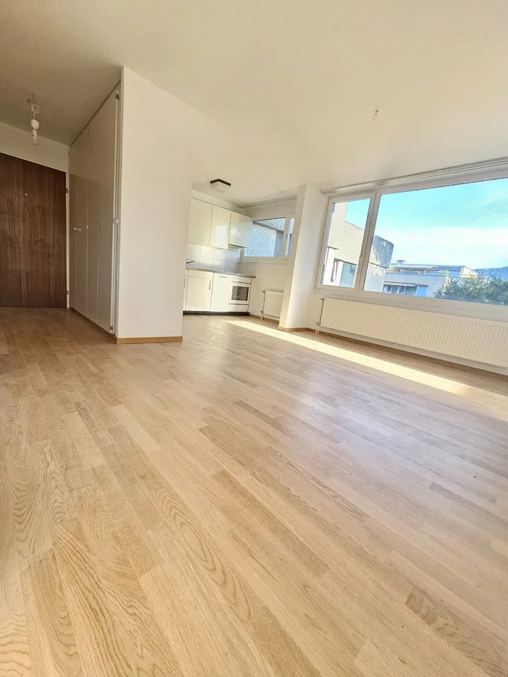 Schönes 3.5-Zimmer-Apartment - 3. Stock