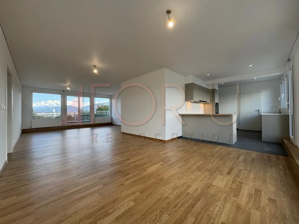 Prachtiges 6.5-Zimmer-Attikapenthouse, neu mit 2 Terrassen und Blick in der Nähe der UNO