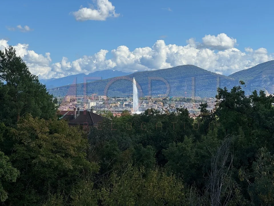 Superbe attique 6.5 pièces neuf avec 2 terrasses et vue près de l'ONU