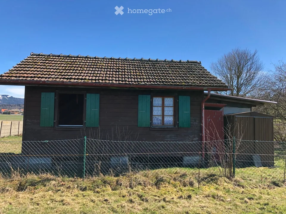 Magnifique terrain avec cabane