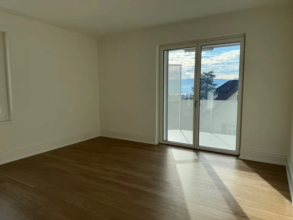 Living with a view of Zurich's local mountain