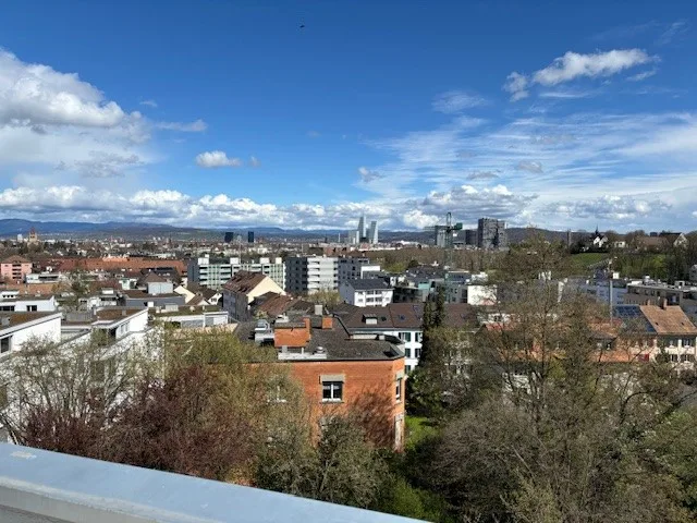 3.5 Zi-Wohnung in ruhiger Gegend in Binningen