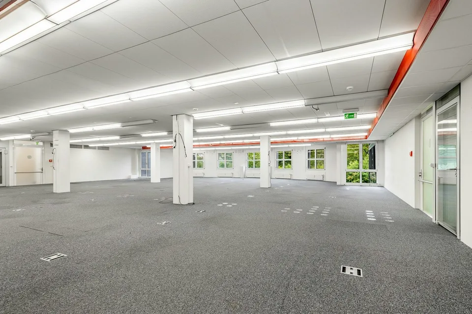 PLAZA | Gewerbefläche mit Potenzial - 350m² für Ihr Business
