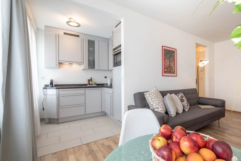 Furnished Studio Apartment in Zurich Wiedikon – Cleaning Service