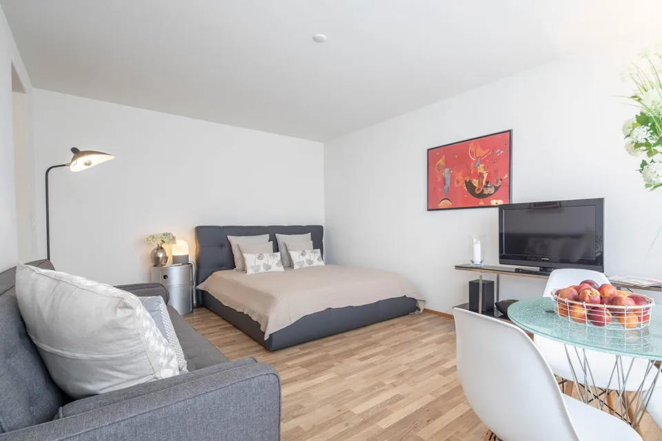 Furnished Studio Apartment in Zurich Wiedikon – Cleaning Service
