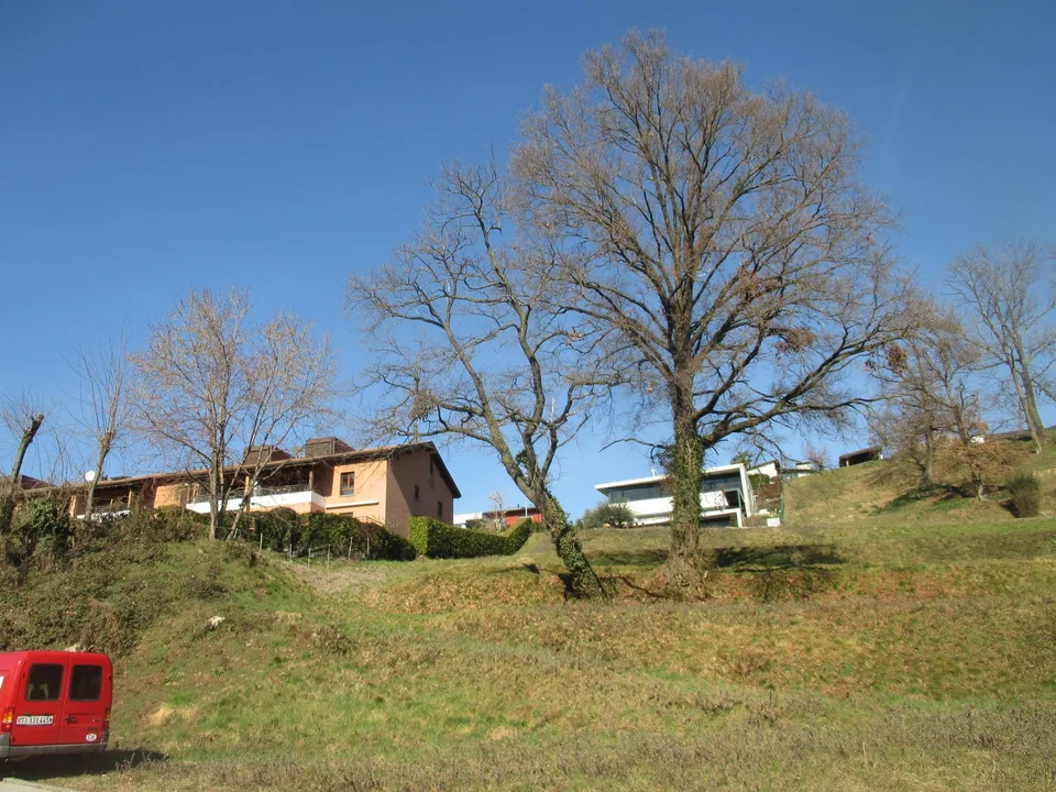 MORBIO INFERIORE - TERRENO R2