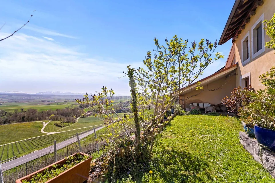 SPLENDIDA FATTORIA RINNOVATA CON VISTA MOZZAFIATO SUL PIANO DEL VAUD