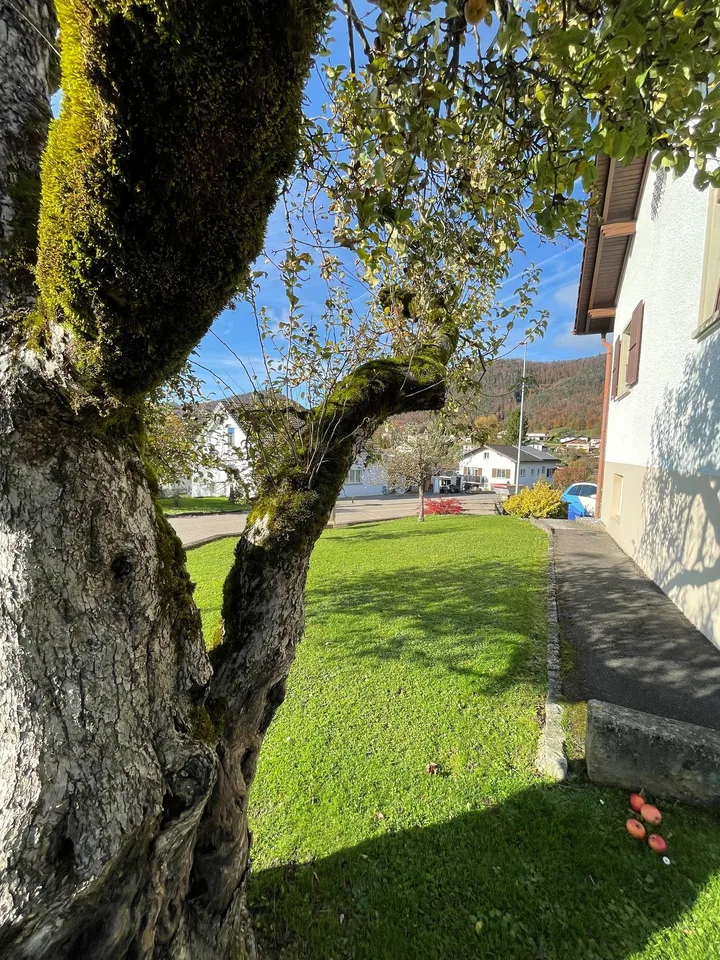 Schönes 7-Zimmer-Einfamilienhaus in Montsevelier – Foto 9 von 30
